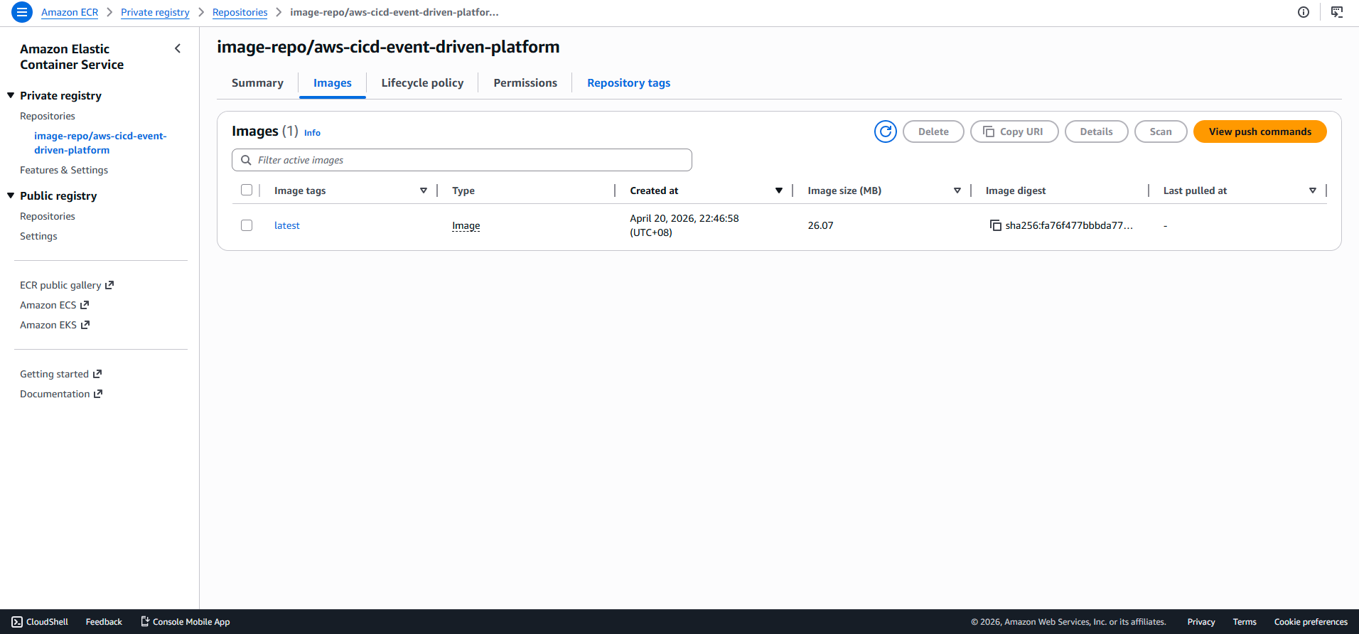 ECR Registry Details